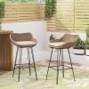 Wicker & Iron Outdoor Barstools (Set of 2)