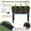 Elevated Planter With Self-Watering System & Trellis