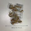 Copper Wire Bee Fairy Lights (79 inches) With 20 LEDs For Home & Wall Decor