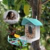 AI Smart Bird Feeder With Camera & Solar Panel