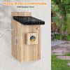 Outdoor Smart Bird House With Camera & Motion Detection