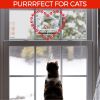 Outdoor Clear Plastic Window Bird Feeder