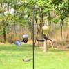 Metal Seed Guard Deterrent Squirrel-Proof Bird Feeder