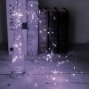 2-Pack 100-LED Beads 32.8-Foot Copper Wire String Lights