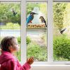 Acrylic Transparent Plexiglass Bird Feeder