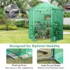 Walk-In Hexagonal Greenhouse With PE Cover & Metal Frame