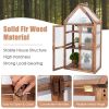 Mini Wooden Greenhouse For Plants