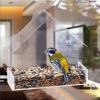 Acrylic Transparent Plexiglass Bird Feeder