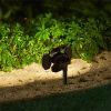 Solar-Powered Motion-Activated Outdoor Weather-Resistant Garden Light/Lamp