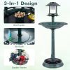 Solar Light Bird Bath With Flower Planter