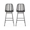 Sawtelle All-Weather Wicker Outdoor Barstools (Set of 2)