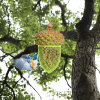 Metal Seed Guard Deterrent Squirrel-Proof Bird Feeder