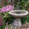Solar Powered Birdbath-Water Fountain