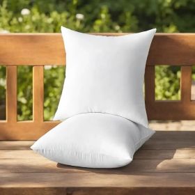 Durable Outdoor Decor: Throw Pillows (Option: W13724783)