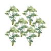 Caladium Bush (Set of 6) 18.5"H Polyester