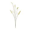 Set Of 6 Foxtail Spray Plastic Stem