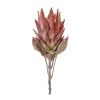 29"H Protea Set Of 2 Polyester Stem