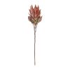 29"H Protea Set Of 2 Polyester Stem