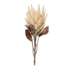 29"H Protea Set Of 2 Polyester Stem (Color: Beige, Brown)