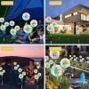 Set Of 2 Solar-Powered Dandelion Lights For Outdoor Yard Decoration